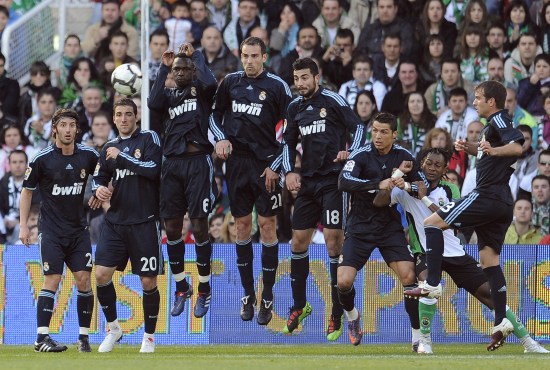 生态的稳定 生态的稳定