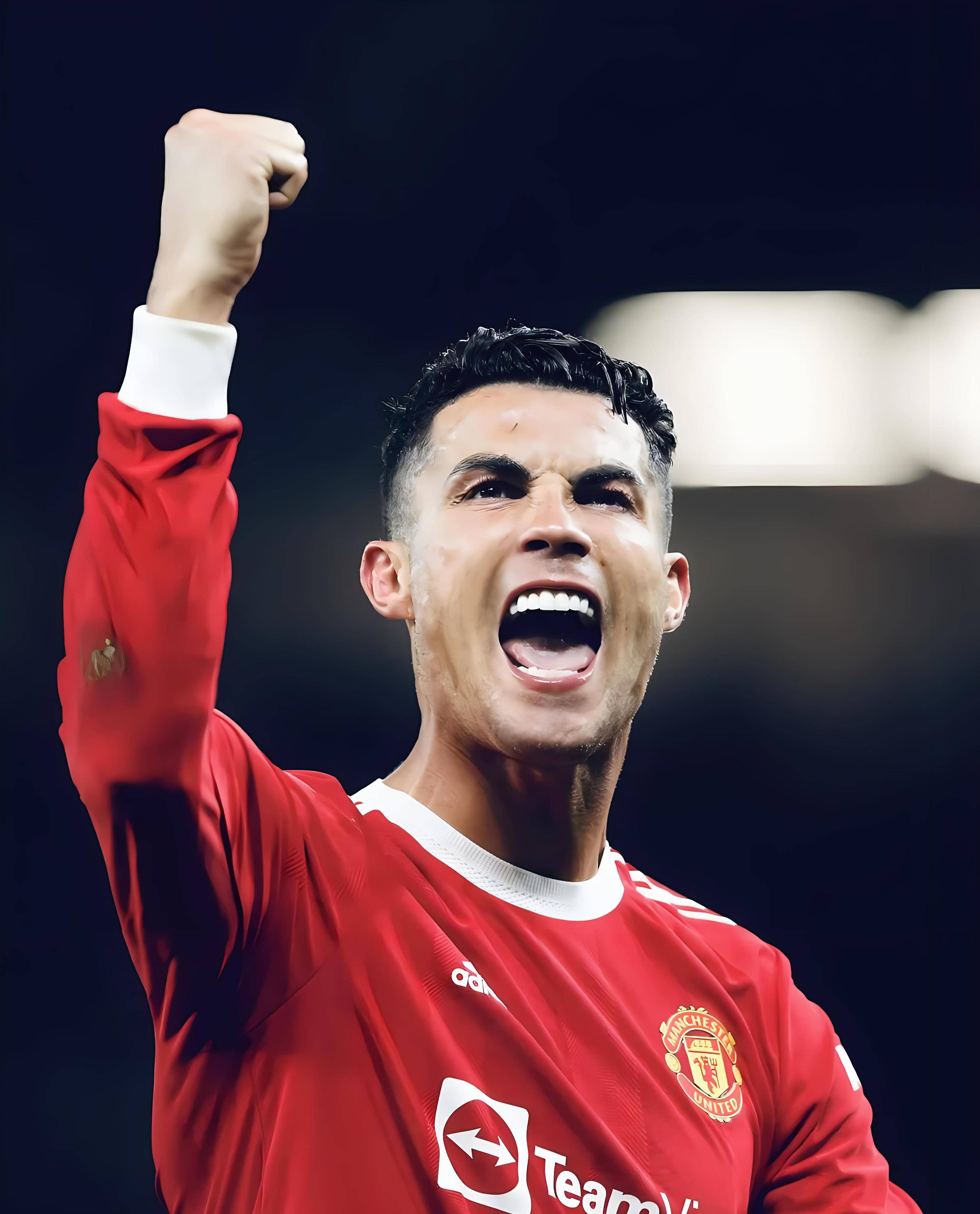 野第二波技 野第二波技